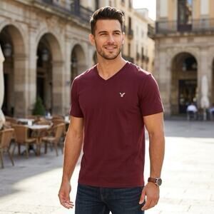 American Eagle Outfitters Men's V-Neck T-Shirt Burgundy Flex Classic Fit Size XL